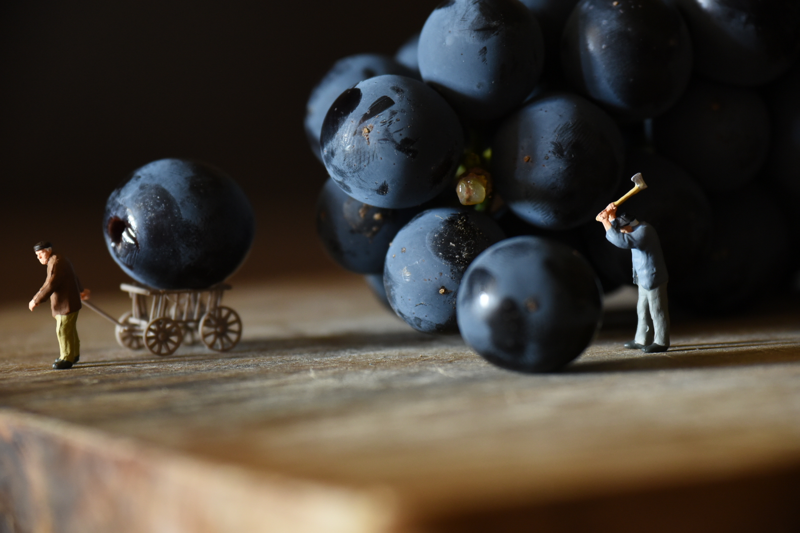 Still Life