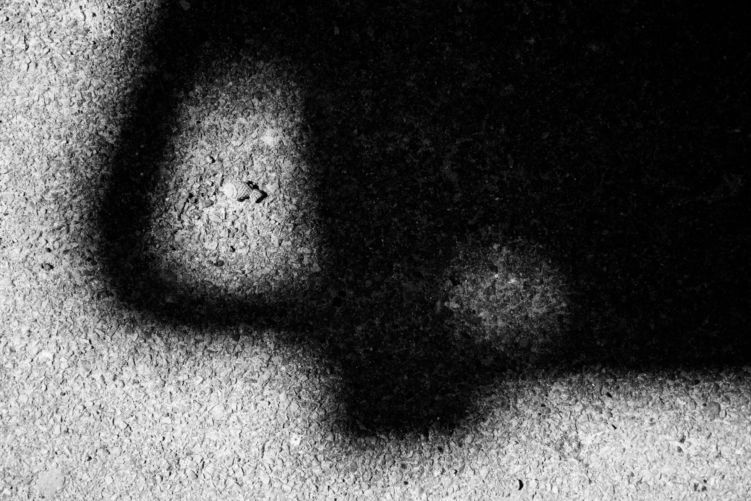 Abstract
