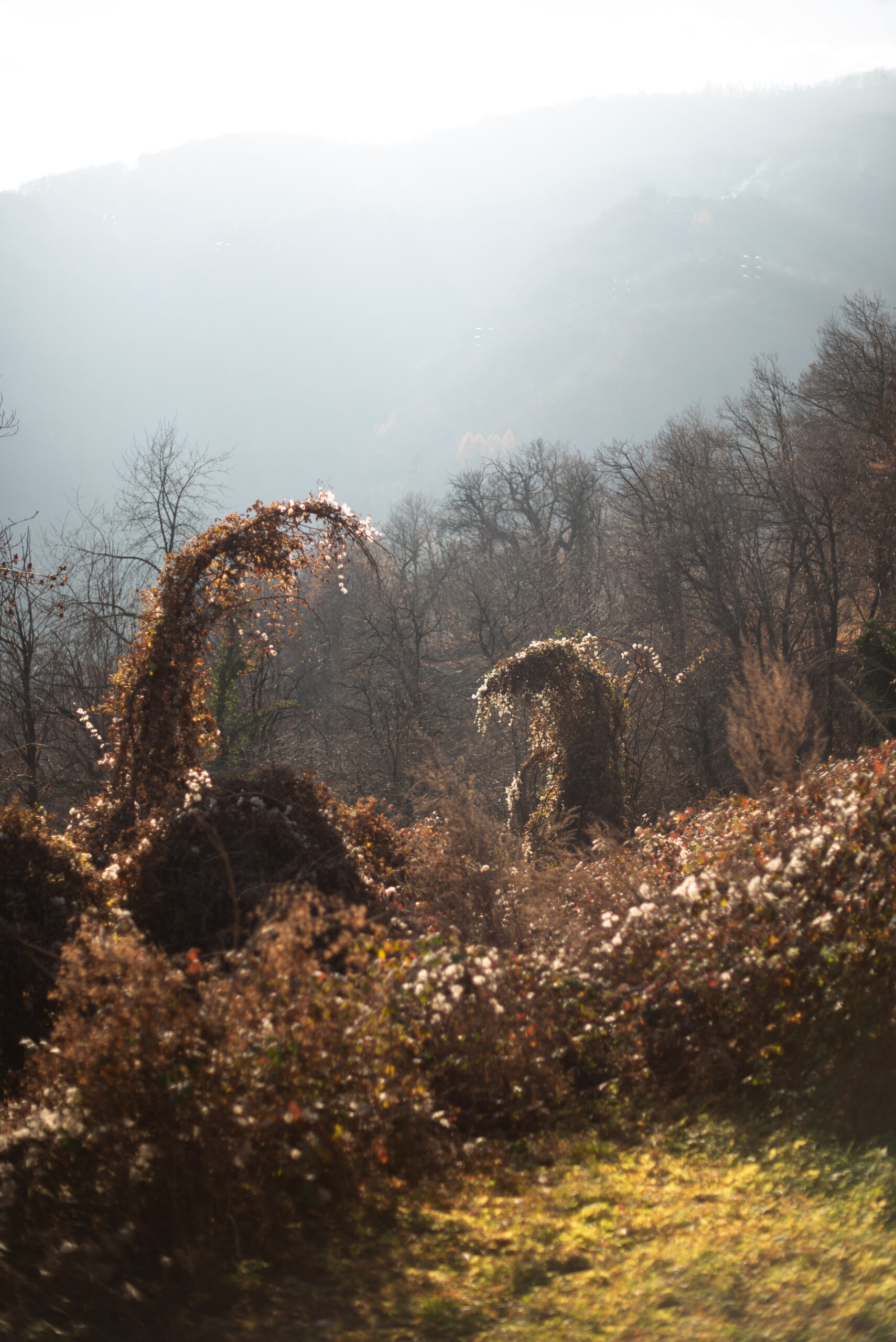 Landscapes 10